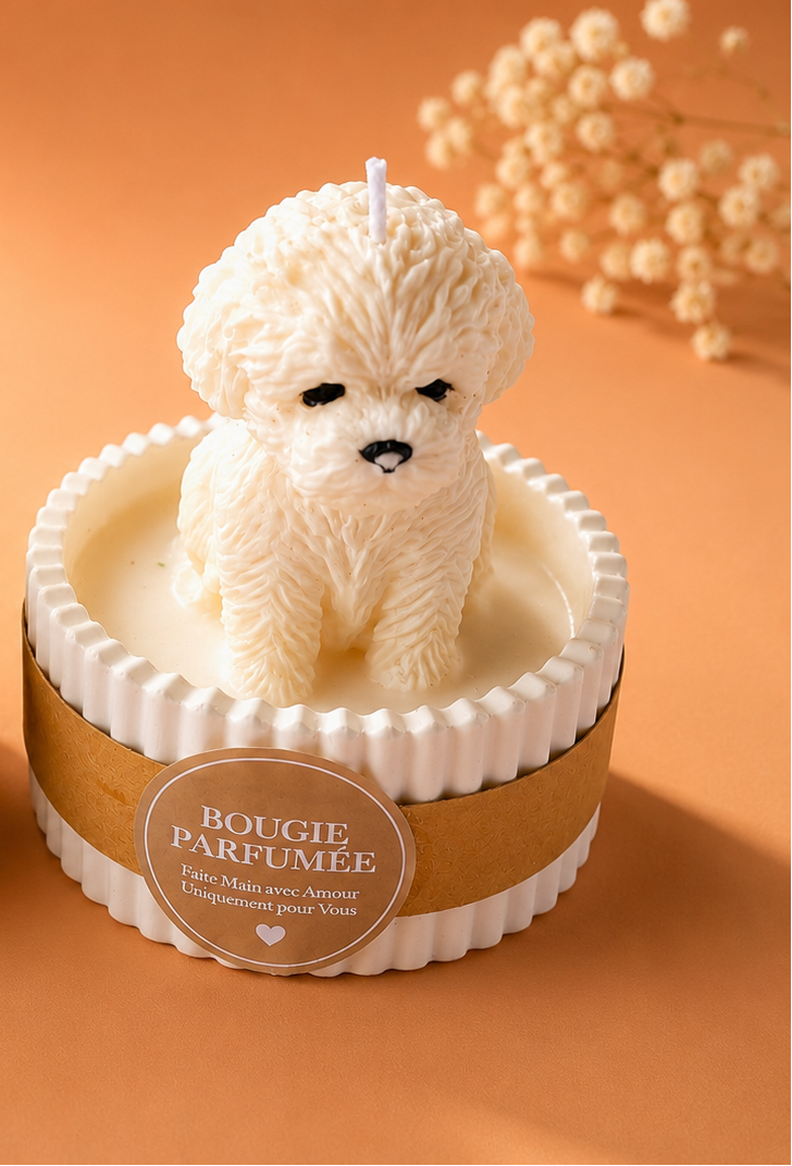 Bougie Maltipoo